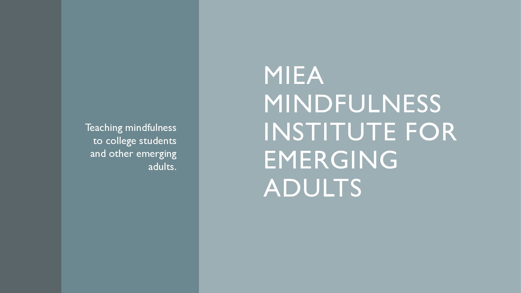 An Experiential Exploration Of Mindfulness Practice To Support Student Mental Health And Wellbeing